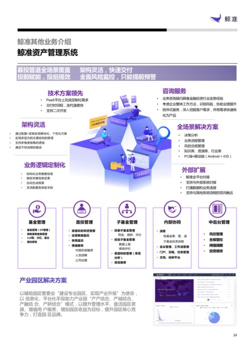 软件与服务板块表现抢眼，信息技术咨询服务引领增长