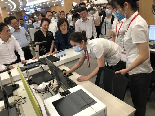 深国图智能图像采集处理技术助力湖南省政务服务信息技术咨询服务